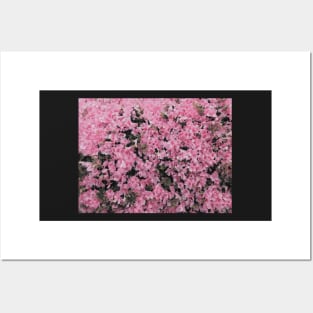 Pretty Little Flowers - Light Pink Posters and Art